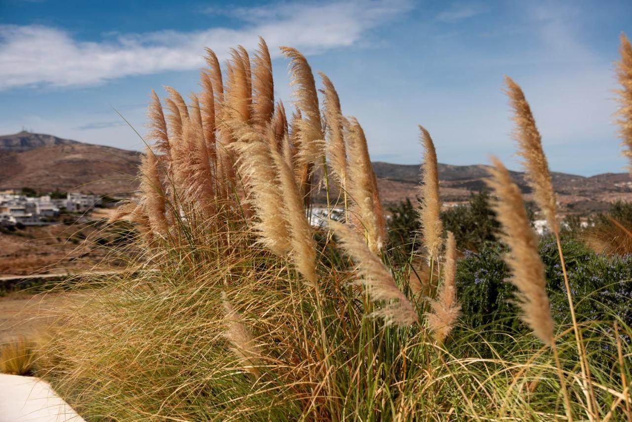 Ventu Paros Villa Marpissa Екстер'єр фото